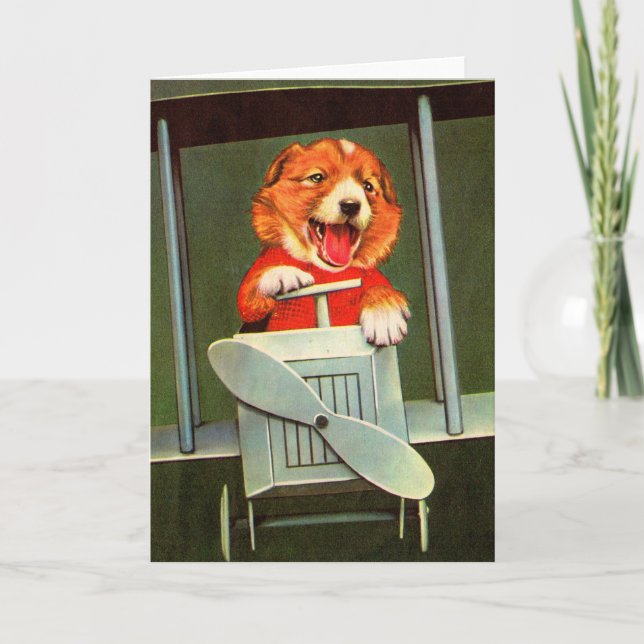 hund pilot kort (Framsida)