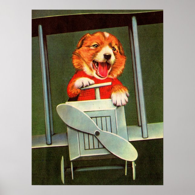 hund pilot poster (Framsidan)