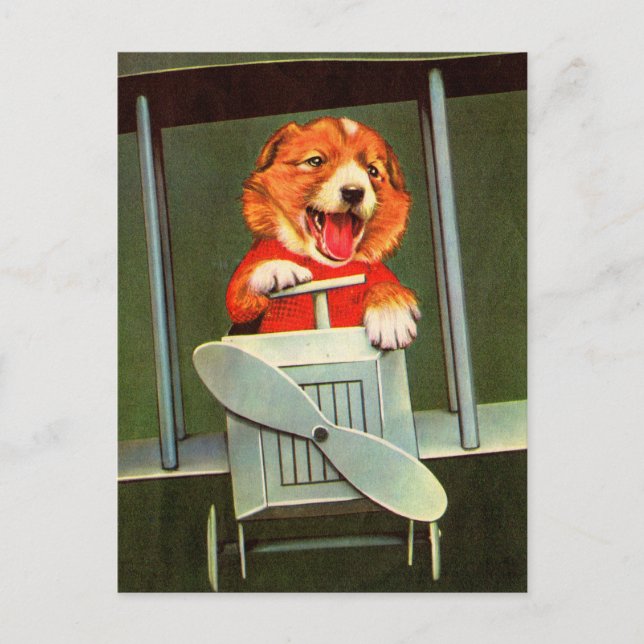 hund pilot vykort (Framsida)