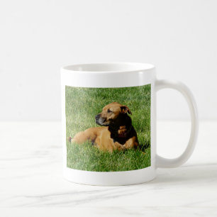 hund pitbull-/boxareblandning kaffemugg