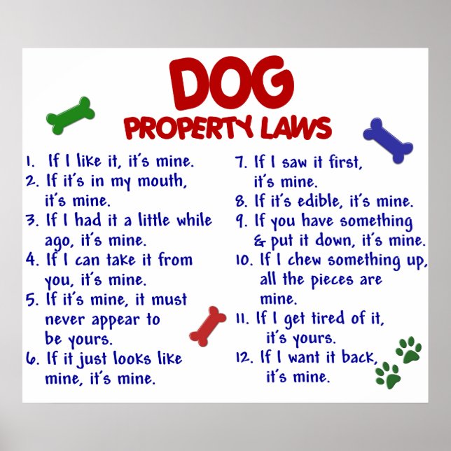 HUND PL2 POSTER (Framsidan)