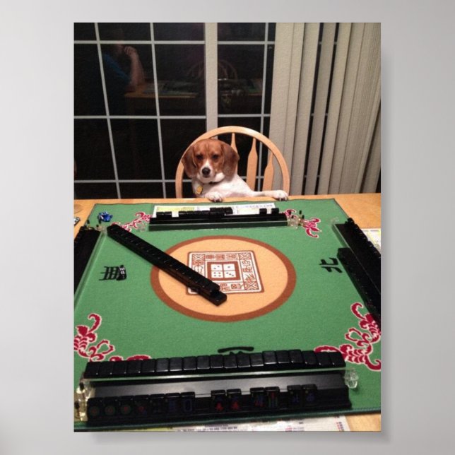 Hund Plies Mahjong Poster (Framsidan)