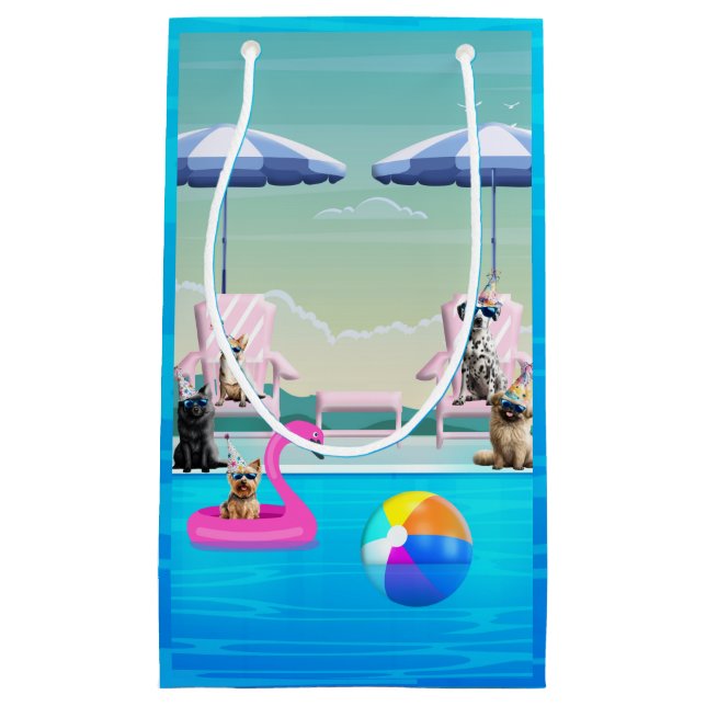 Hund Pool Party (Framsidan)