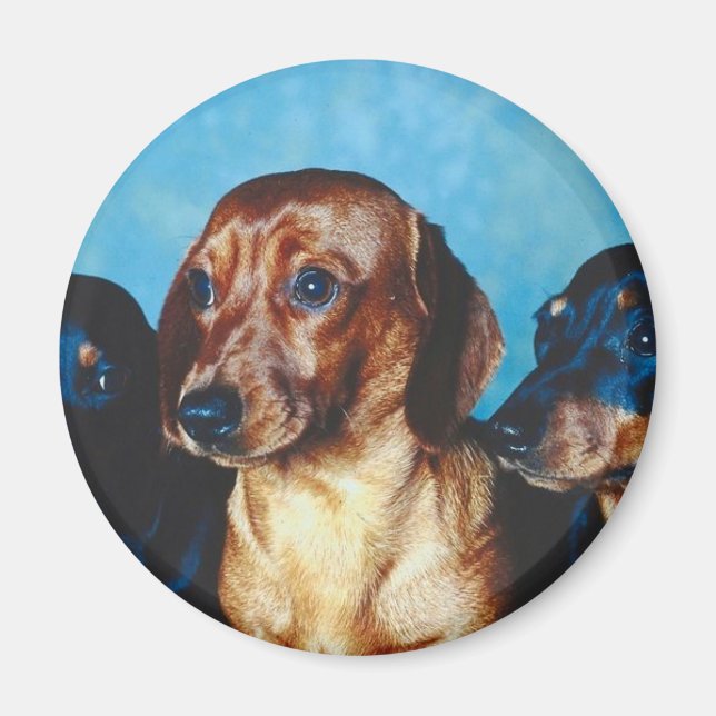 Hund Porträtt Magnet (Framsidan)