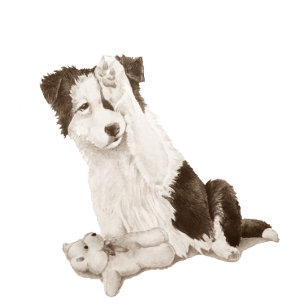 hund porträtt målning av den söta gräns-kolvar armbandsur