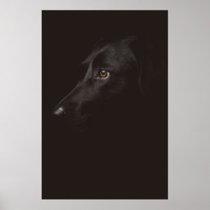 HUND PORTRÄTT POSTER