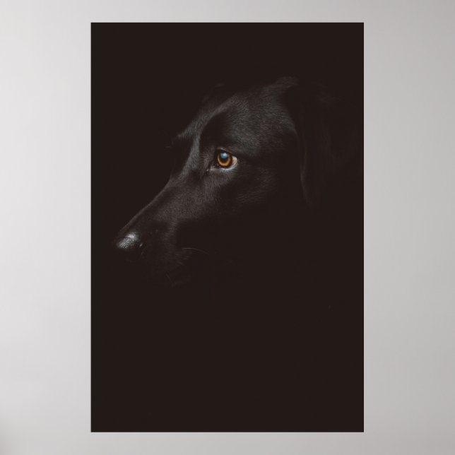 HUND PORTRÄTT POSTER (Framsidan)