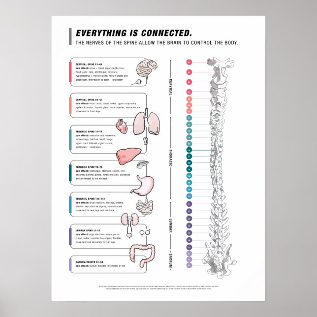 Hund Poster (Framsidan)