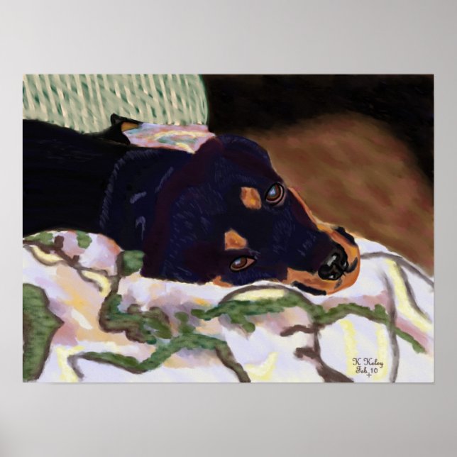 Hund poster (Framsidan)