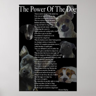 Hund Poster effekt (stor)
