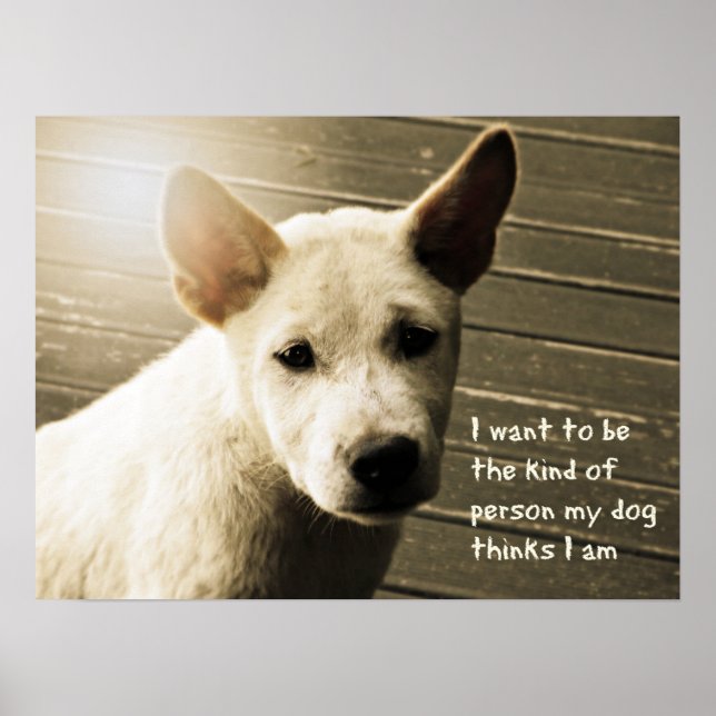Hund Poster, Hund älskare Gift Poster (Framsidan)