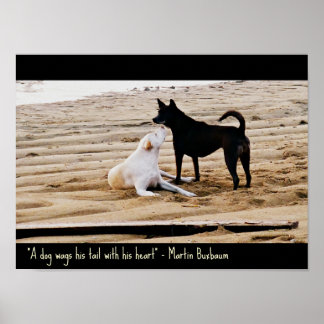 Hund Poster offert