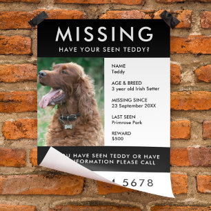 Hund Poster utfällbar fotoskylt Reklamblad