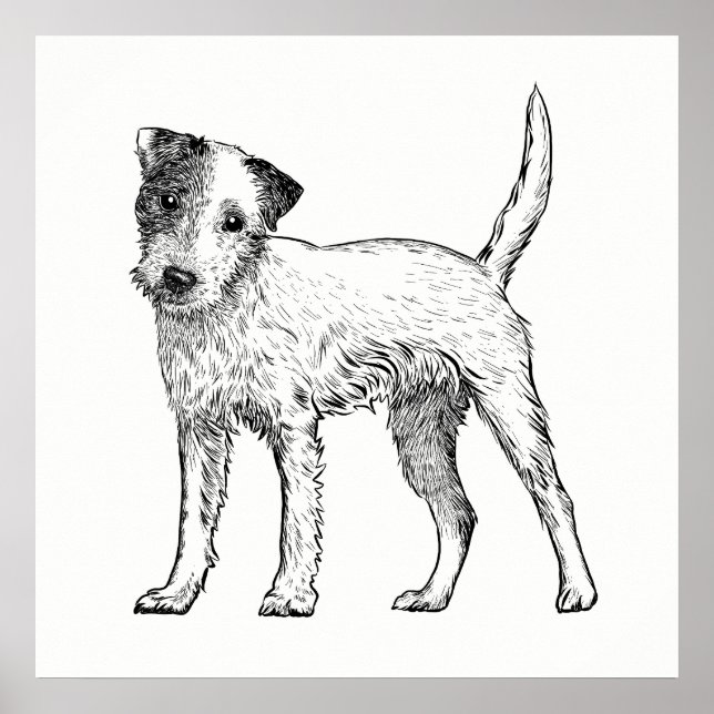 Hund Poster/Wall Art Jack Russell Terrier Poster (Framsidan)