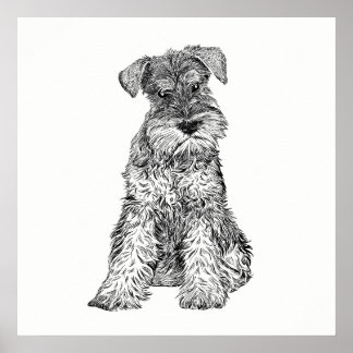 Hund Poster/Wall Art Schnauzer Poster