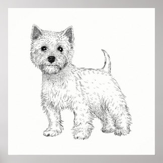 Hund Poster/Wall Art Väster Highland Terrier Poster