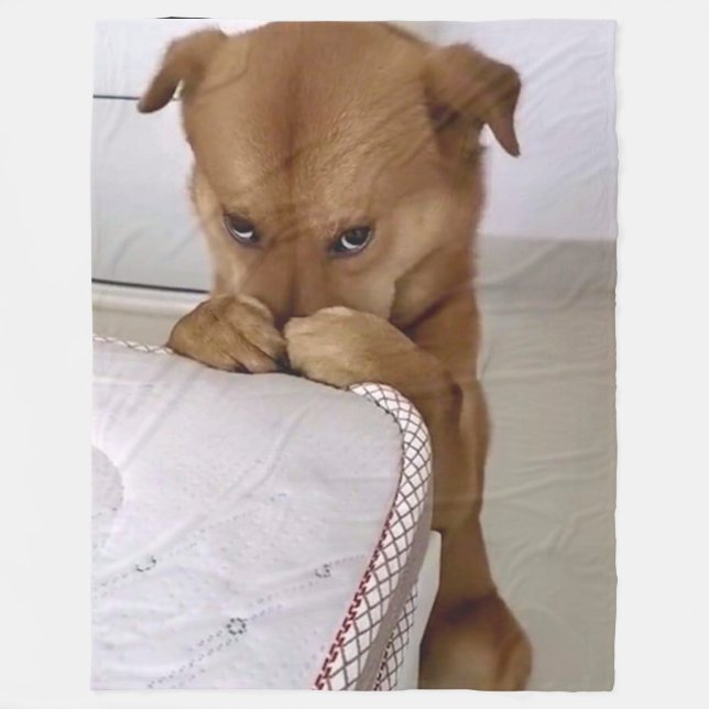 HUND PRAYING FLEECEFILT (Framsidan)