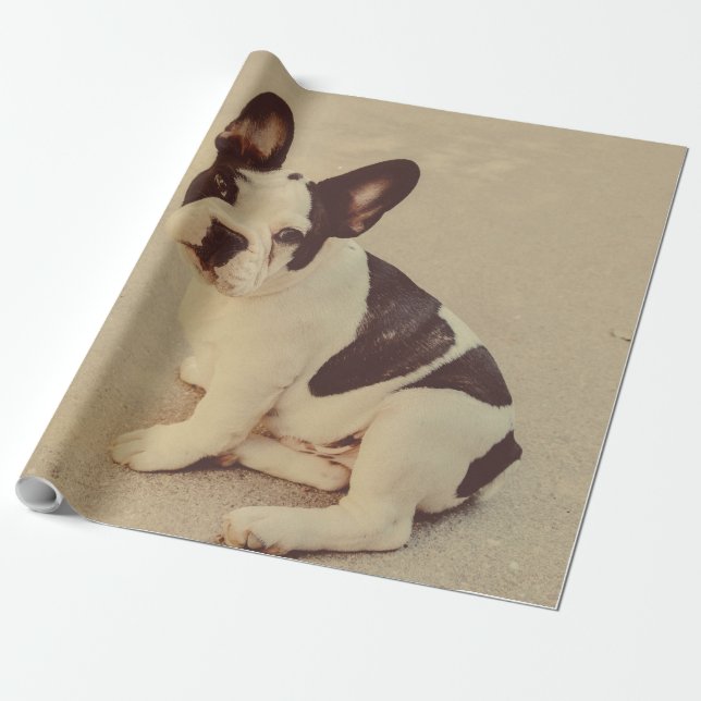 Hund Presentpapper (Utrullad)