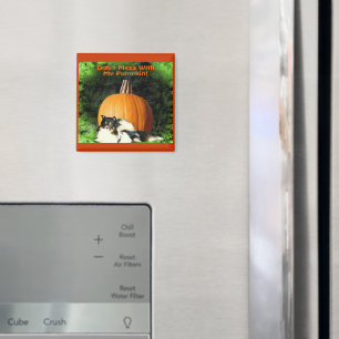Hund Protected Large Pumpkin Magnet