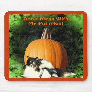 Hund Protection Large Pumpkin Musmatta