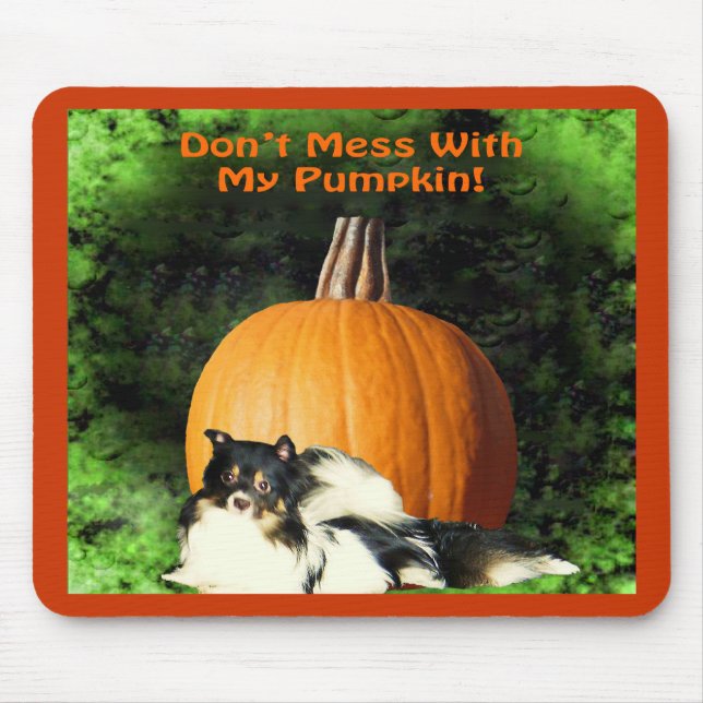 Hund Protection Large Pumpkin Musmatta (Framsidan)