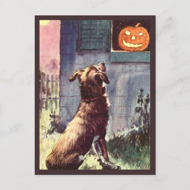 Hund & Pumpkin - Vintage Halloween Vykort (Framsida)