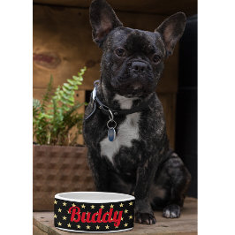Hund Puppy Cat Kattunge Pet Namn Black Guld Stars 