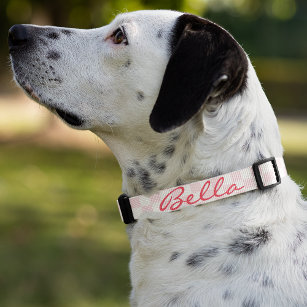 Hund Puppy Doggy Namn Anpassningsbar Kontrollerad  Halsband Husdjur