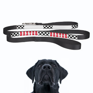 Hund Puppy Doggy Namn, modern svart, vit, kontroll Koppel