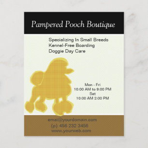 Hund Puppy Grooming Salon Anpassad Djuromsorg Flygblad