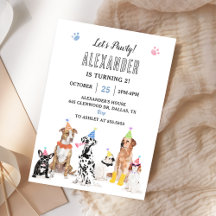 Hund Puppy Låt oss Pawty-Födelsedagsfest