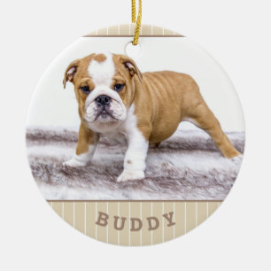 Hund Puppy Pet Photo Beige Rand Julgransprydnad Keramik