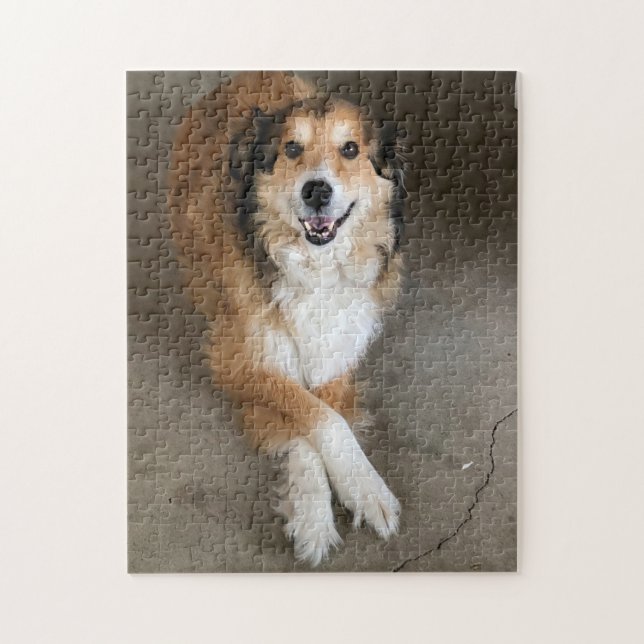 Hund Pussel (Vertikal)