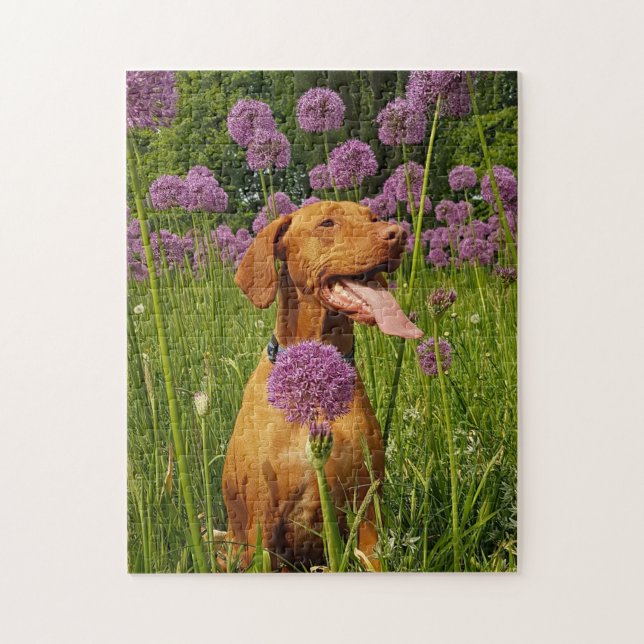 Hund Puzzes Animal Pic Cute Ledsen Puppy Puppy Pho Pussel (Vertikal)