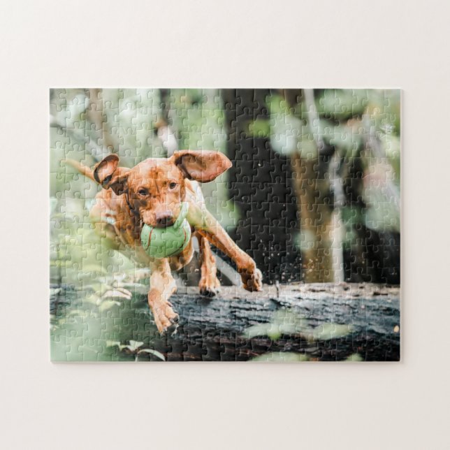 Hund Puzzes Animal Pic Cute Ledsen Puppy Puppy Pho Pussel (Horisontell)