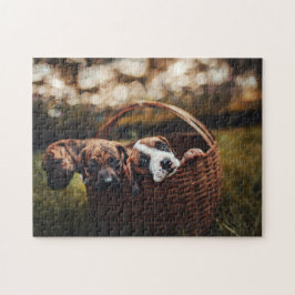 Hund Puzzes Animal Pic Cute Ledsen Puppy Puppy Pho Pussel