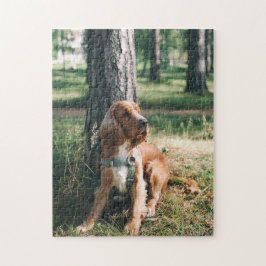 Hund Puzzes Animal Pic Cute Ledsen Puppy Puppy Pho Pussel