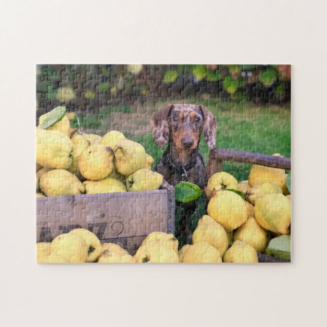 Hund Puzzes Animal Pic Cute Ledsen Puppy Puppy Pho Pussel (Horisontell)