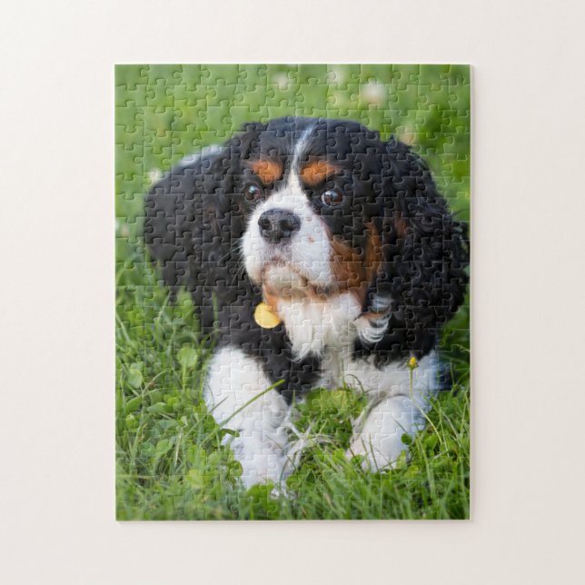 Hund Puzzes Animal Pic Cute Ledsen Puppy Puppy Pho Pussel (Vertikal)