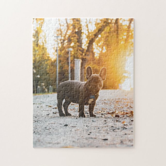 Hund Puzzes Animal Pic Cute Ledsen Puppy Puppy Pho Pussel (Vertikal)