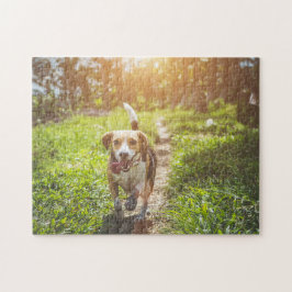 Hund Puzzes Animal Pic Cute Ledsen Puppy Puppy Pho Pussel