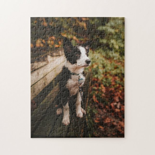 Hund Puzzes Animal Pic Cute Ledsen Puppy Puppy Pho Pussel (Vertikal)