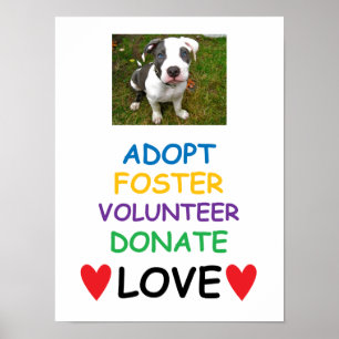Hund rädding Poster, Anta Kärlek Poster