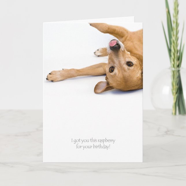 Hund Rasberry Card Kort (Framsida)