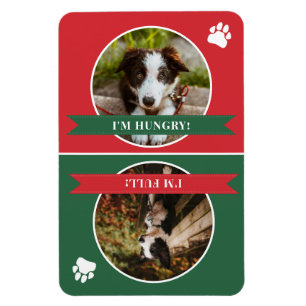 Hund Red Grönt Matas Photo Magnet