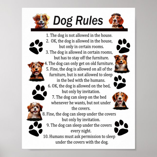 Hund Regler - för HUND LYCKLIG Poster (Framsidan)