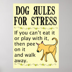 Hund Regler för Stressa Poster