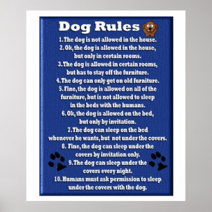 HUND REGLER - POSTER