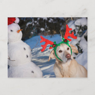 Hund Renare Antlers Helg Vykort