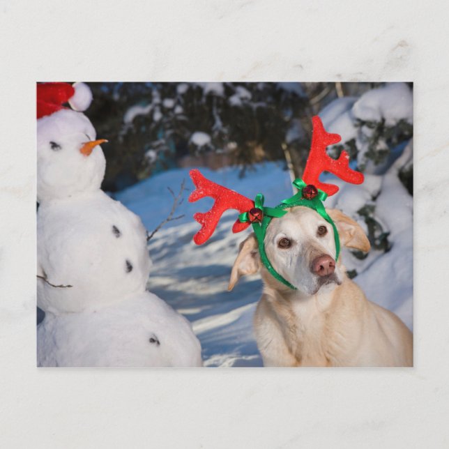 Hund Renare Antlers Helg Vykort (Framsida)